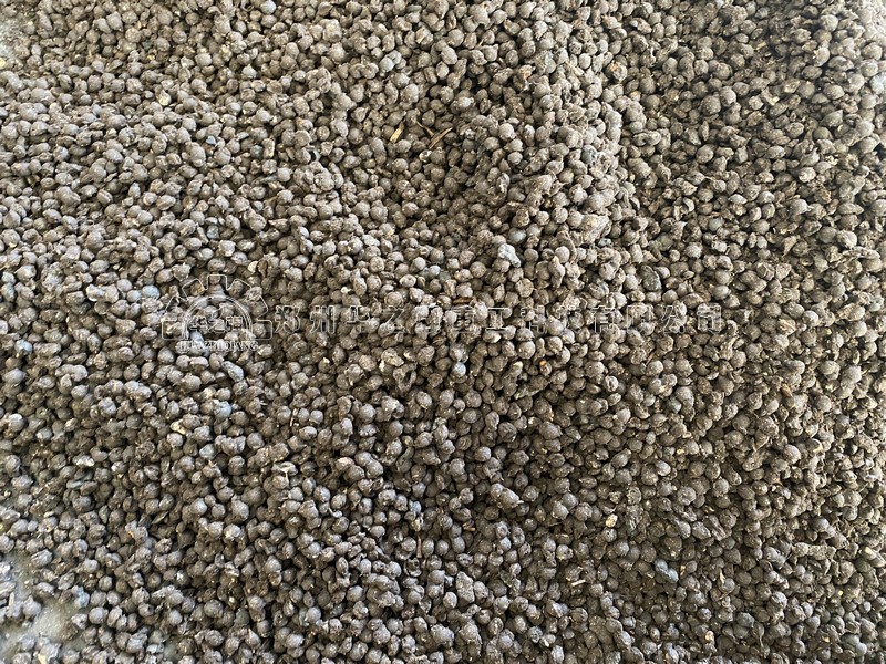 成品颗粒 (2).jpg