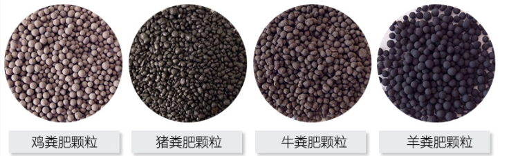 如何利用有机肥设备实现畜禽粪便无害化处理