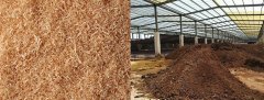 香蕉视频在线下载告诉你怎样用木屑发酵成为生物有机肥